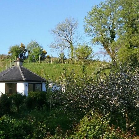 Drombrow Cottage Bantry Esterno foto